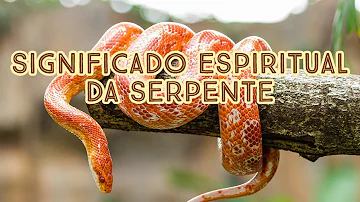 serpente significado espiritual