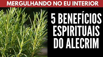 alecrim significado espiritual