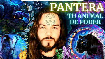 pantera negra significado espiritual