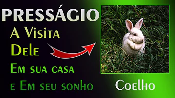 coelho significado espiritual