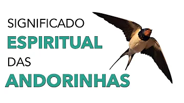 andorinha significado espiritual