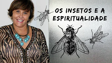 insetos em casas significado espiritual