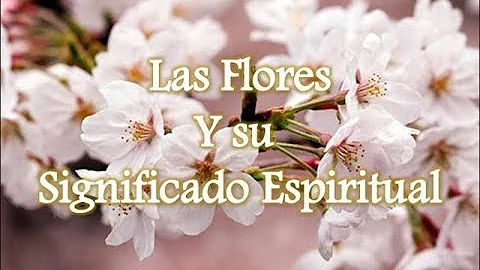 flor significado espiritual