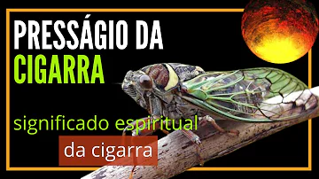 cigarra significado espiritual