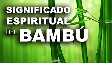 bambu significado espiritual