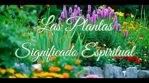 plantas significado espiritual