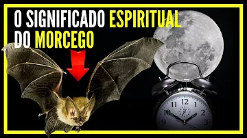 morcego em casas significado espiritual