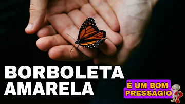 borboleta amarela significado espiritual