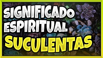 suculentas significado espiritual