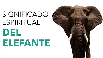 elefante significado espiritual