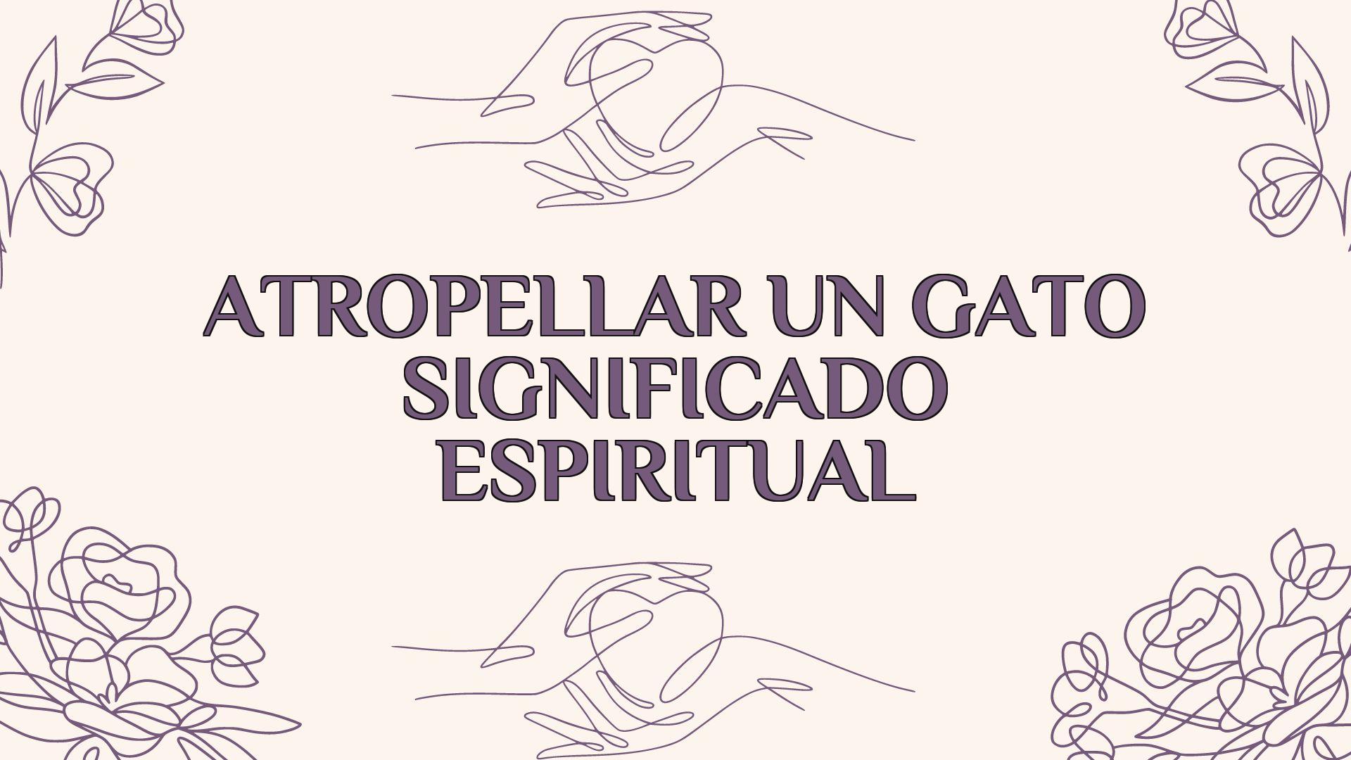 Atropellar Un Gato Significado Espiritual