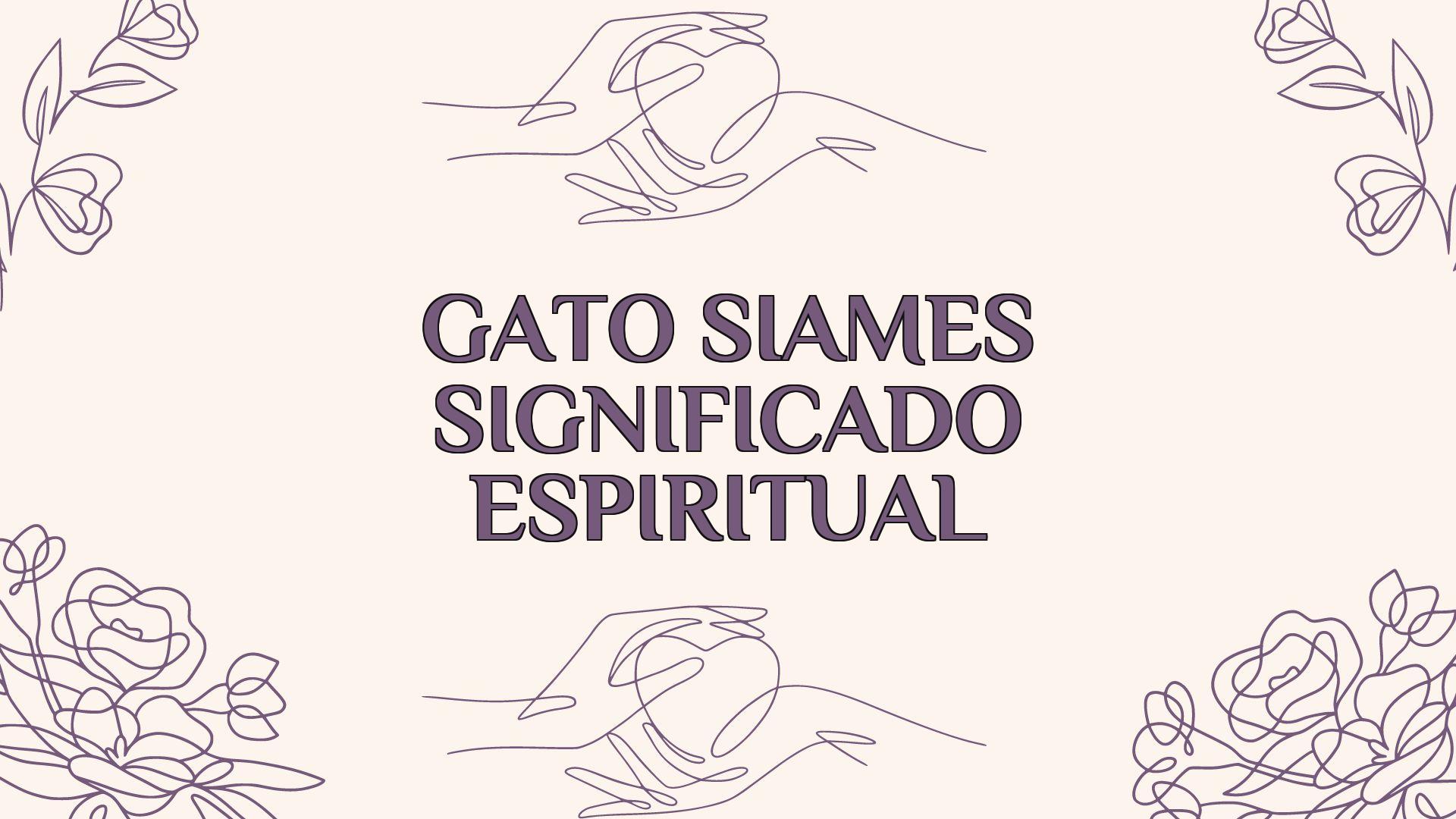 Gato Siamés Significado Espiritual