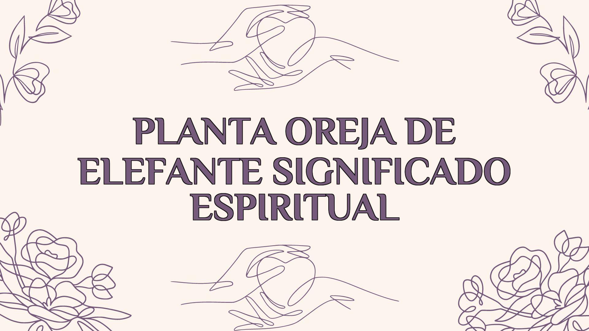 Planta Oreja De Elefante Significado Espiritual