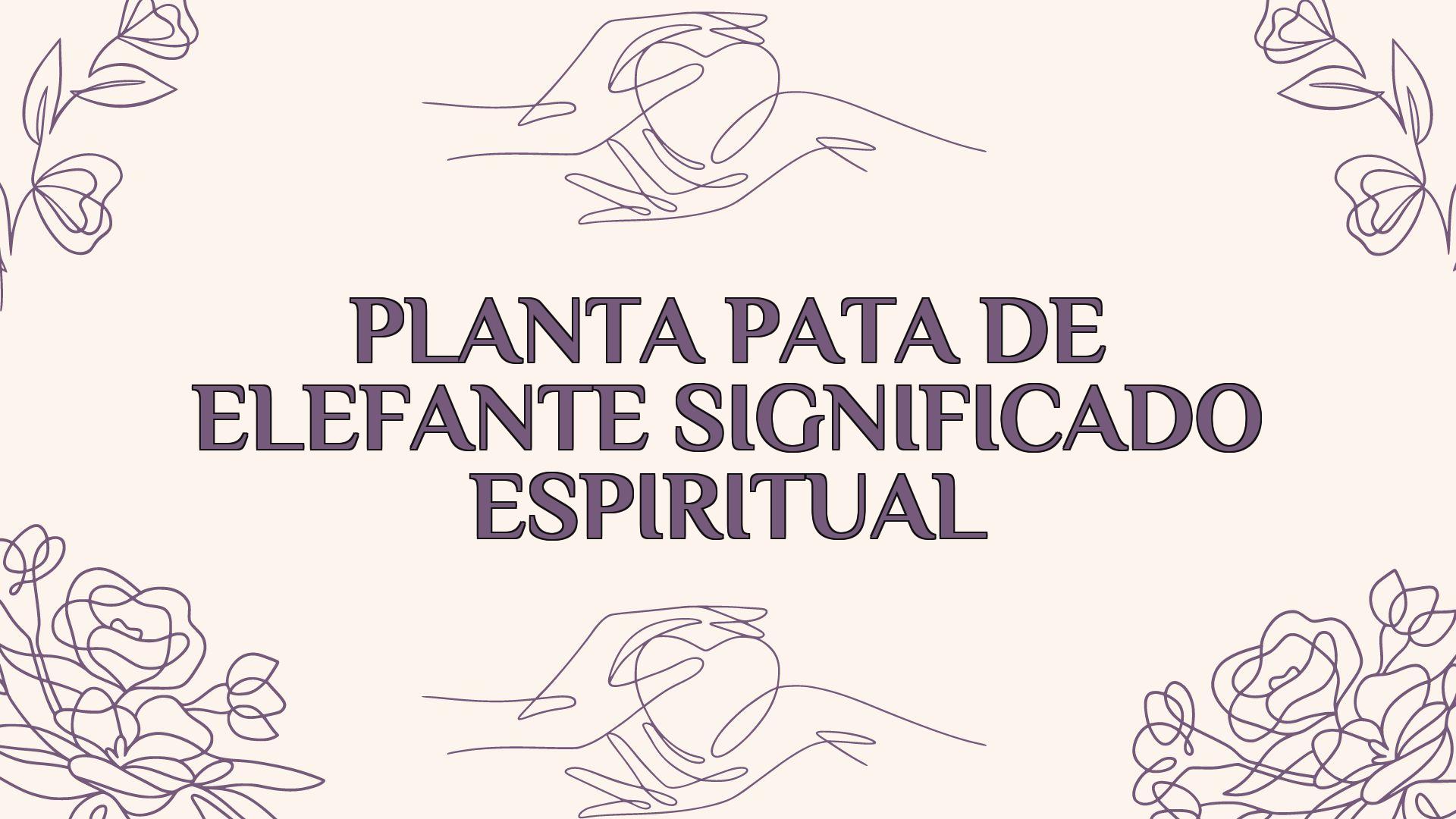 planta pata de elefante significado espiritual