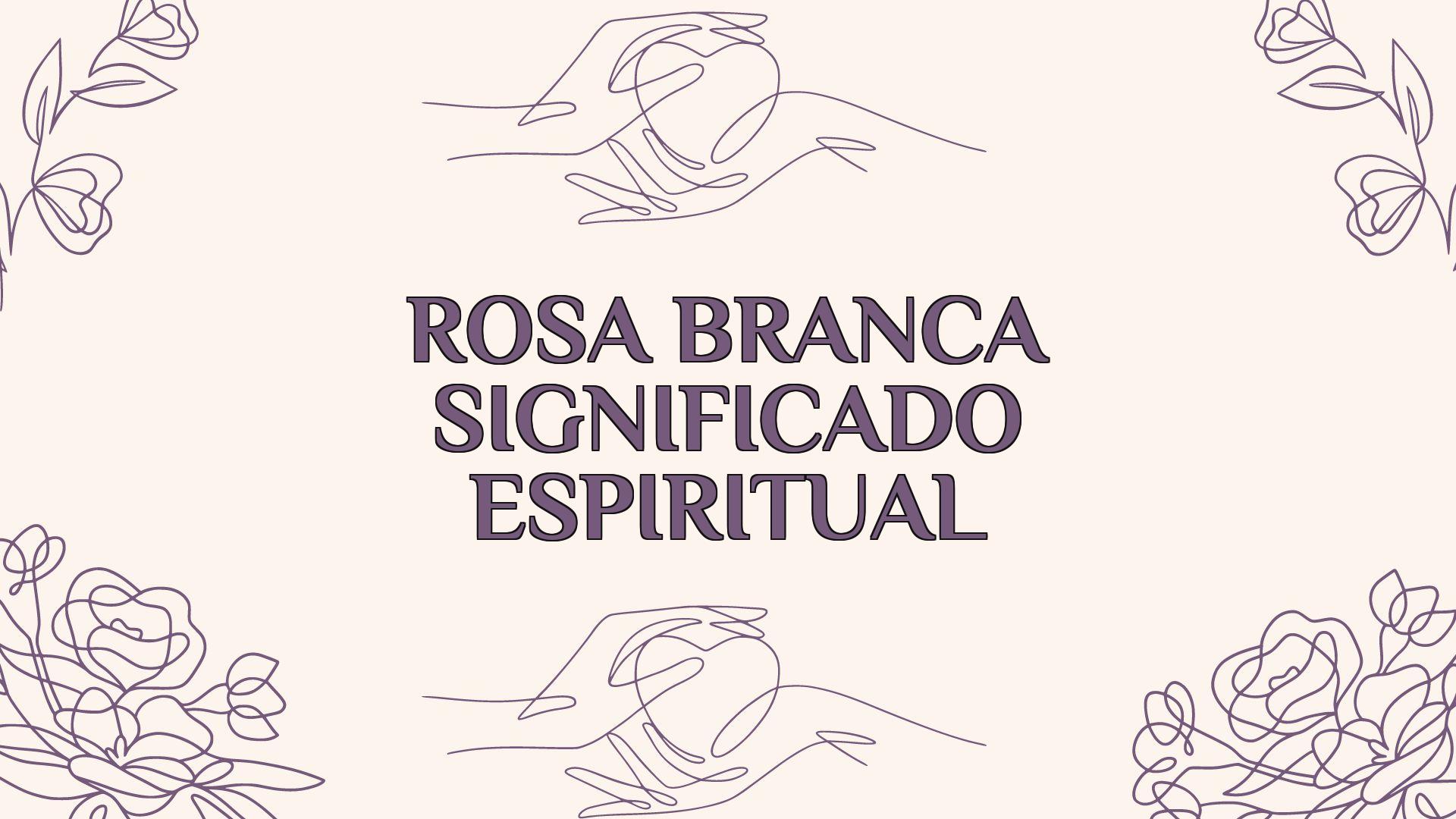 Rosa Branca Significado Espiritual