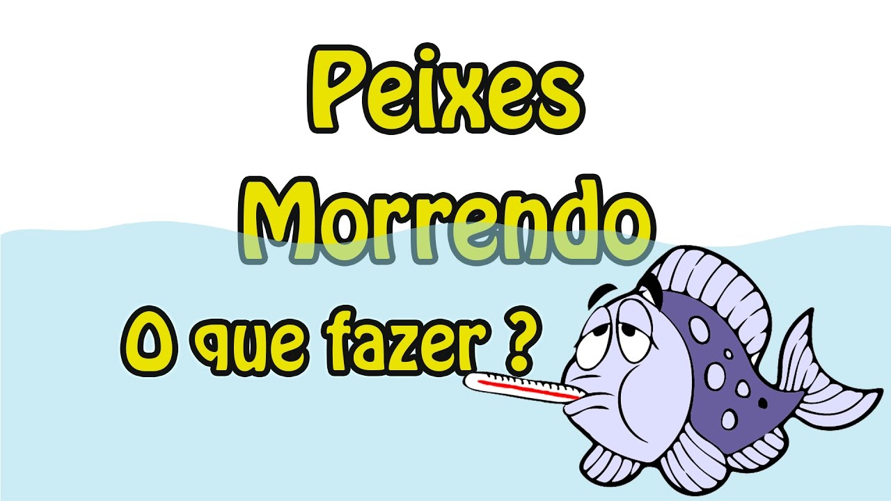 O que é Ovas De Peixe [ 2023 Resolvido ]