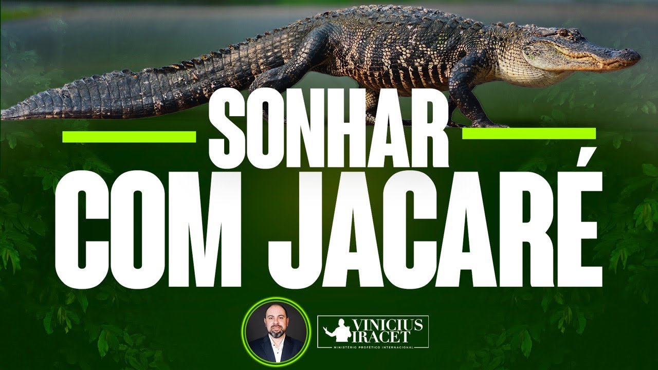 O que Significa Sonhar Com Jacaré Atacando [ 2023 Resolvido ]