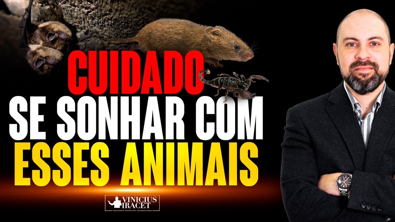 O que Significa Sonhar Com Sapo Grande e Gordo [ 2023 Resolvido ]