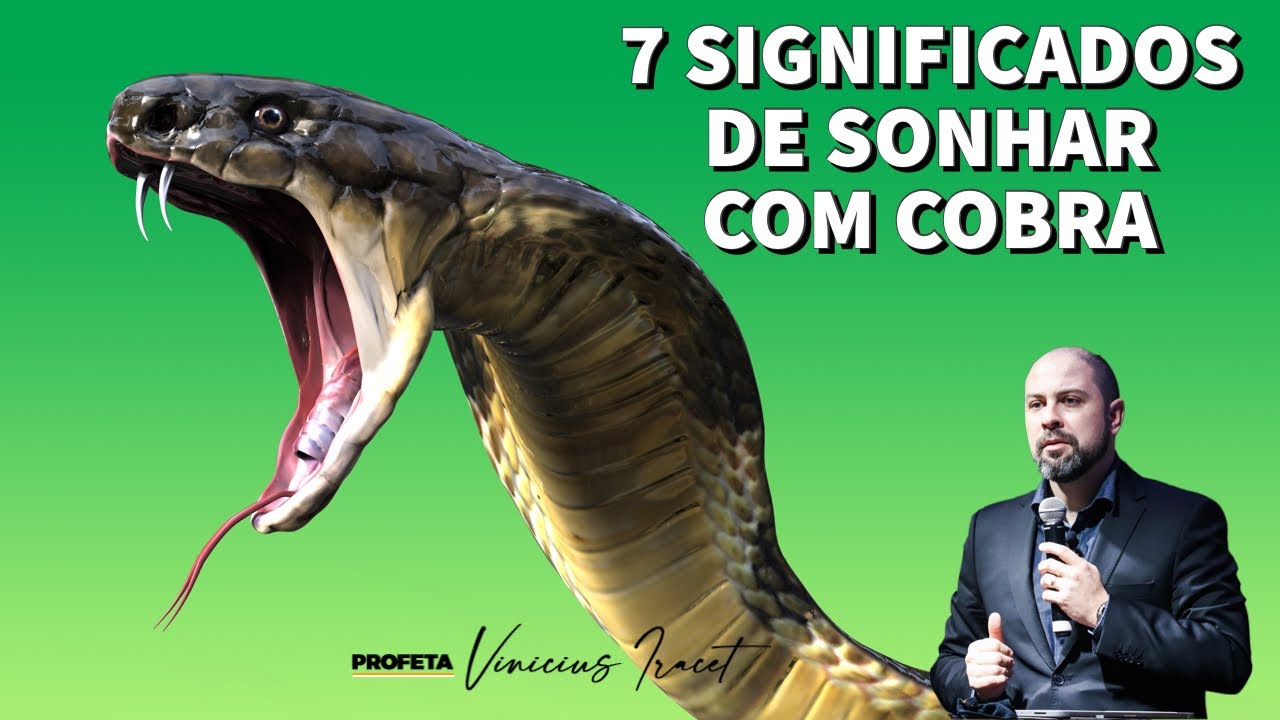 O que Significa Sonhar Matando Uma Cobra [ 2023 Resolvido ]