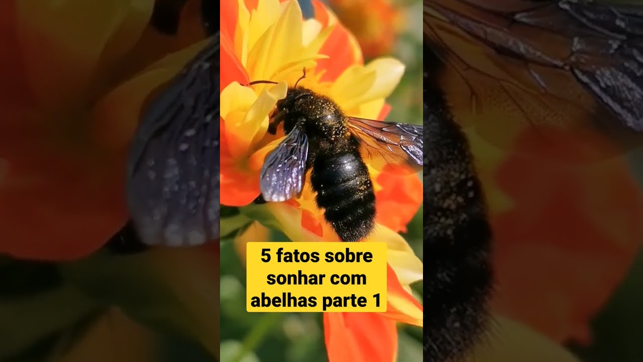 O que Significa Sonhar Com Enxame De Abelha [ 2023 Resolvido ]