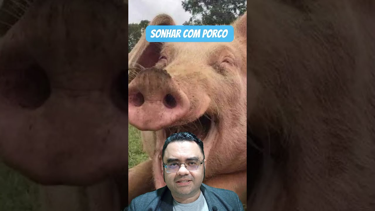 O que Significa Sonhar Com Porco No Mundo Espiritual [ 2023 Resolvido ]