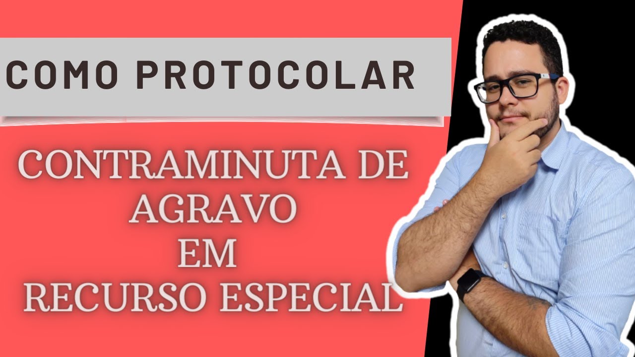 O que é Contraminuta De Agravo De Instrumento [ 2023 Resolvido ]