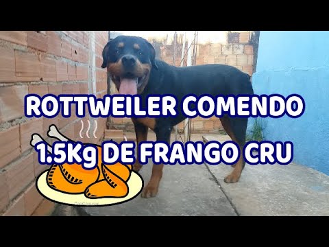 O que é Dorso De Frango [ 2023 Resolvido ]