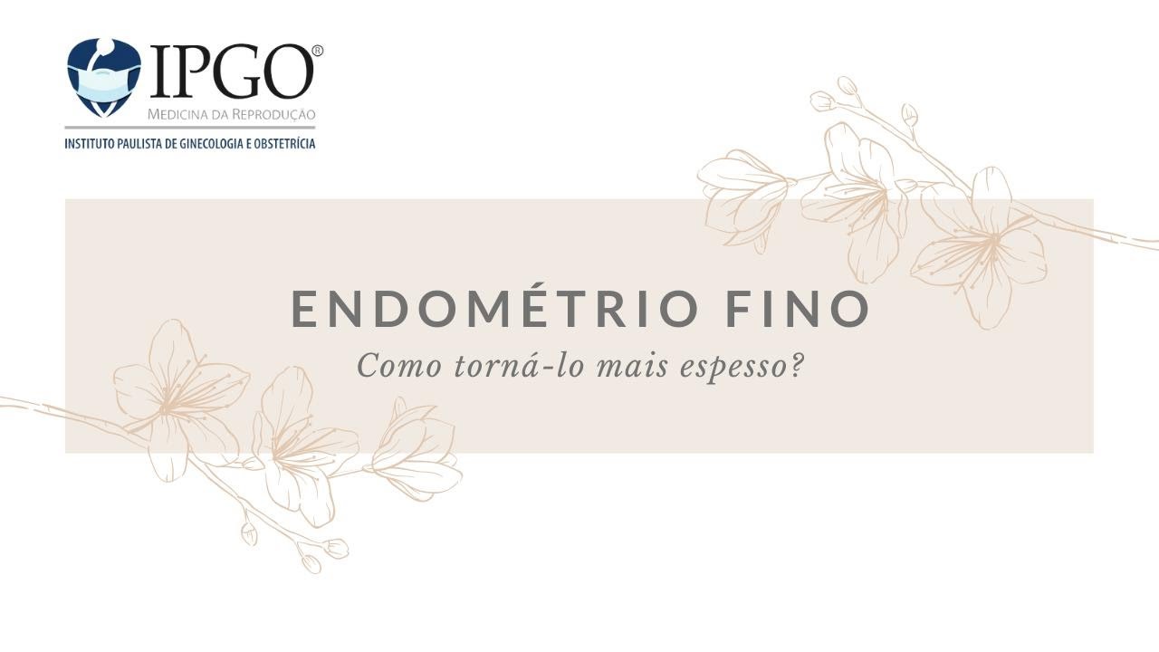 O que é Eco Endometrial [ 2023 Resolvido ]