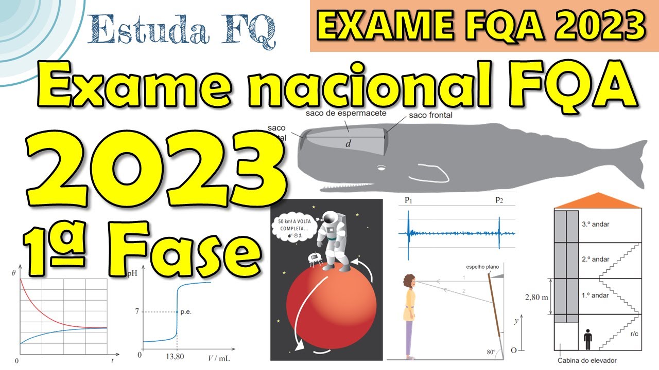 O que São Capacidades Fisicas [ 2023 Resolvido ]