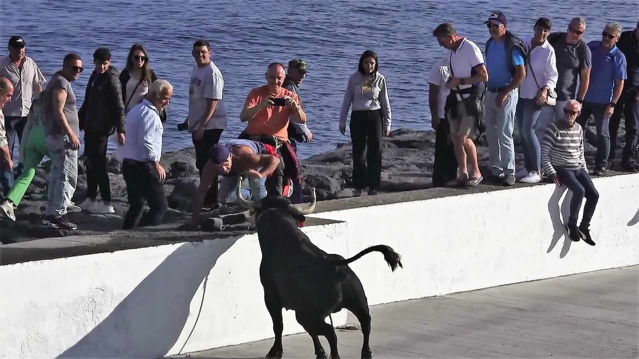 O que é Taurina De Boi [ 2023 Resolvido ]