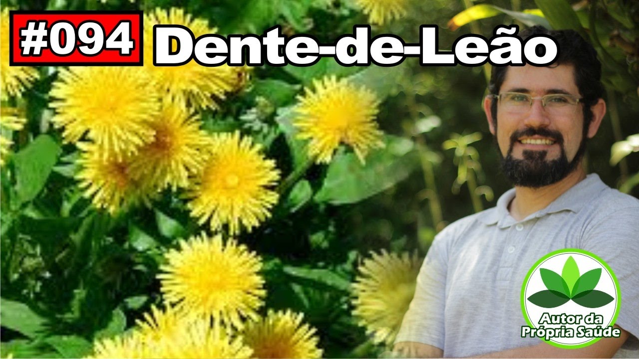 Para que Serve O Cha Dente De Leao [ 2023 Resolvido ]